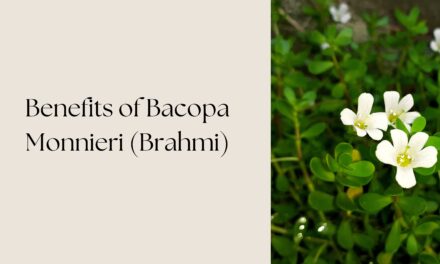 The Incredible Benefits of Bacopa Monnieri (Brahmi)