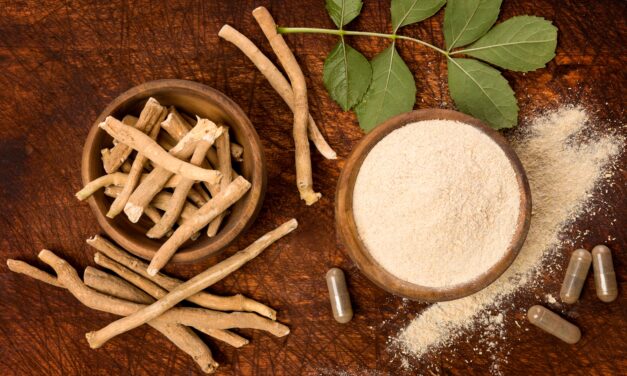 Discover the incredible power of Ashwagandha